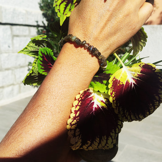 Pulsera Chip de piedras de Labradorita