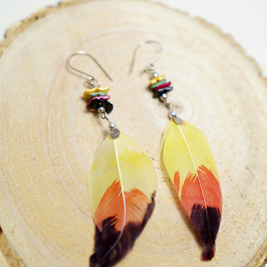 Pendientes Plumas Multicolor